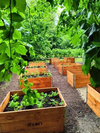 Community Gardens - Krakow Community Gardens - Krakow