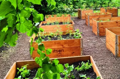 Community Garden - Krakow Header Community Garden - Krakow Header